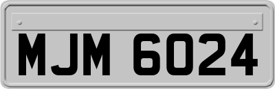 MJM6024