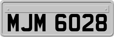 MJM6028