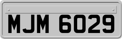 MJM6029
