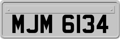MJM6134