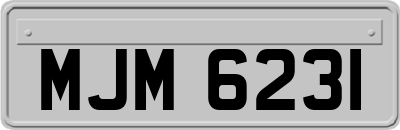 MJM6231