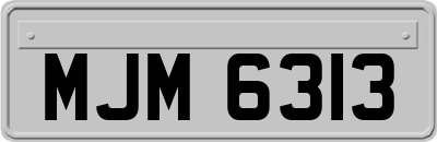 MJM6313