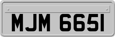 MJM6651