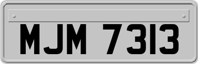 MJM7313