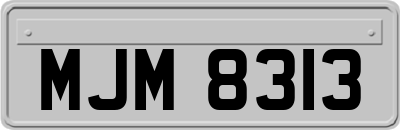 MJM8313