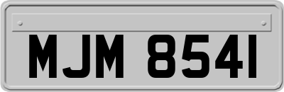 MJM8541