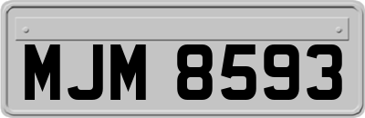 MJM8593