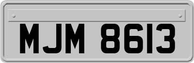 MJM8613