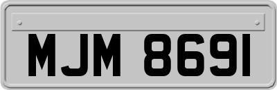 MJM8691