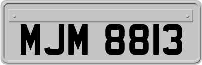 MJM8813