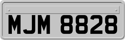 MJM8828