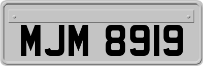 MJM8919