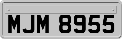 MJM8955