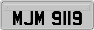 MJM9119