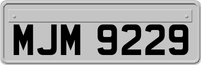 MJM9229
