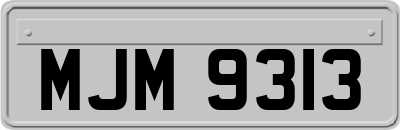 MJM9313
