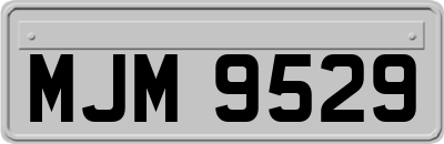 MJM9529