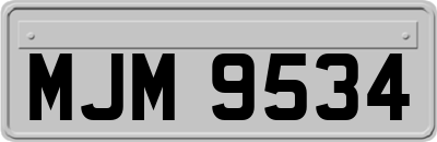 MJM9534