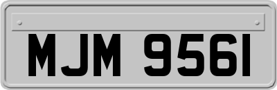 MJM9561