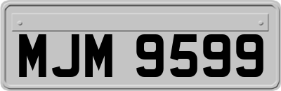 MJM9599