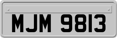 MJM9813