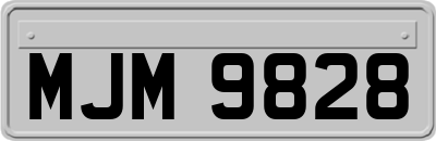 MJM9828