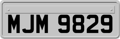 MJM9829