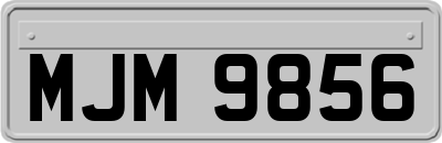 MJM9856