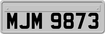 MJM9873