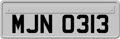 MJN0313