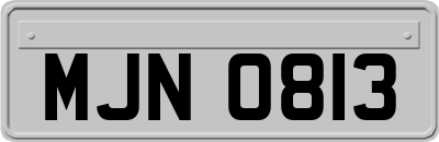 MJN0813