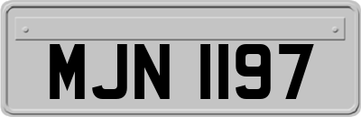 MJN1197