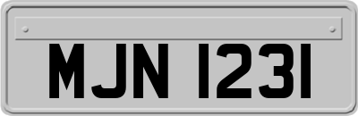 MJN1231