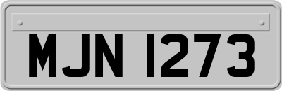 MJN1273