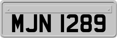 MJN1289