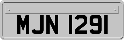 MJN1291