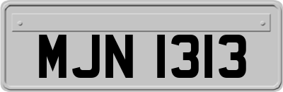 MJN1313