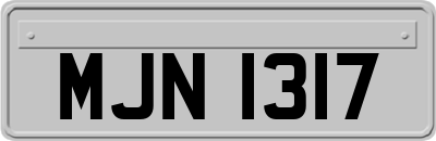 MJN1317