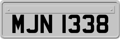 MJN1338