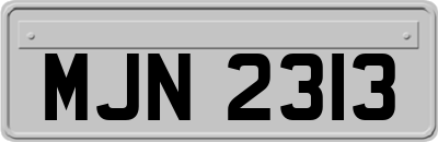 MJN2313