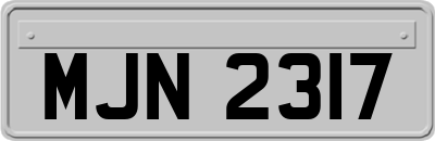 MJN2317