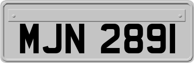 MJN2891