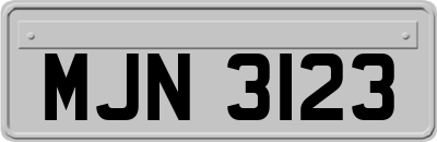 MJN3123