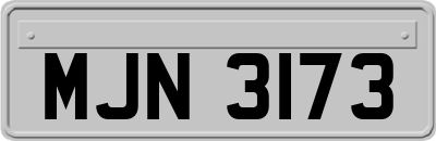 MJN3173