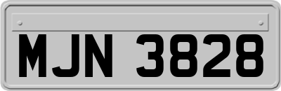 MJN3828