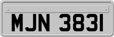 MJN3831