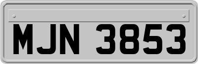 MJN3853