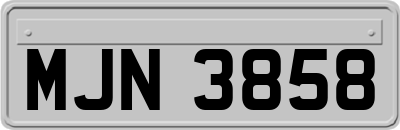 MJN3858