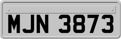 MJN3873