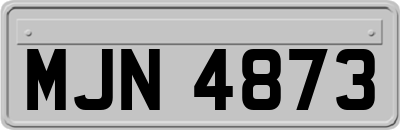 MJN4873